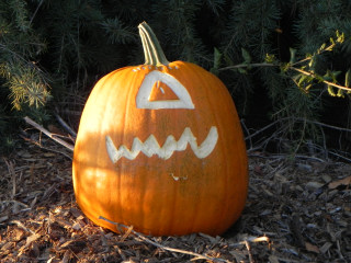 TriEye Cyclops, Nipomo Pumpkin Patch best carving idea
